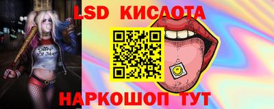 индика Кулебаки