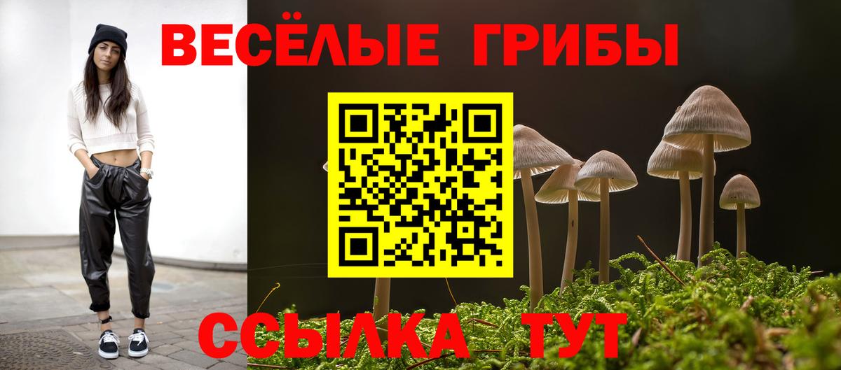 Галлюциногенные грибы Psilocybe  Вход с VPN  Кириши 