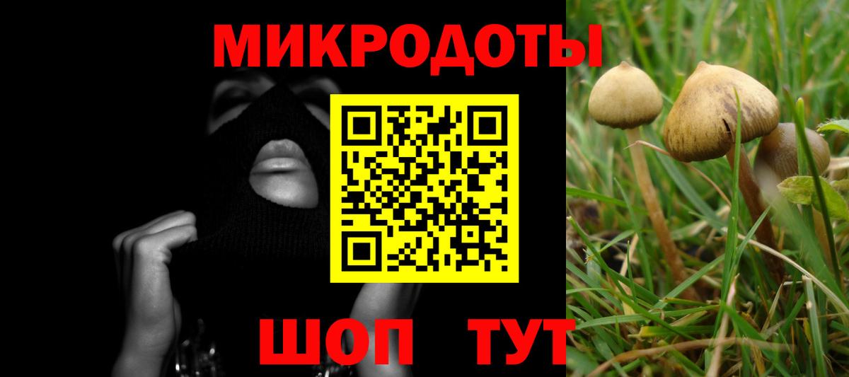 Псилоцибиновые грибы мицелий Кириши